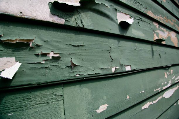 Best Residential Vinyl Siding Installation  in Nashville, NC